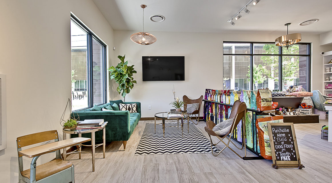 Mussman Architects Dog Culture